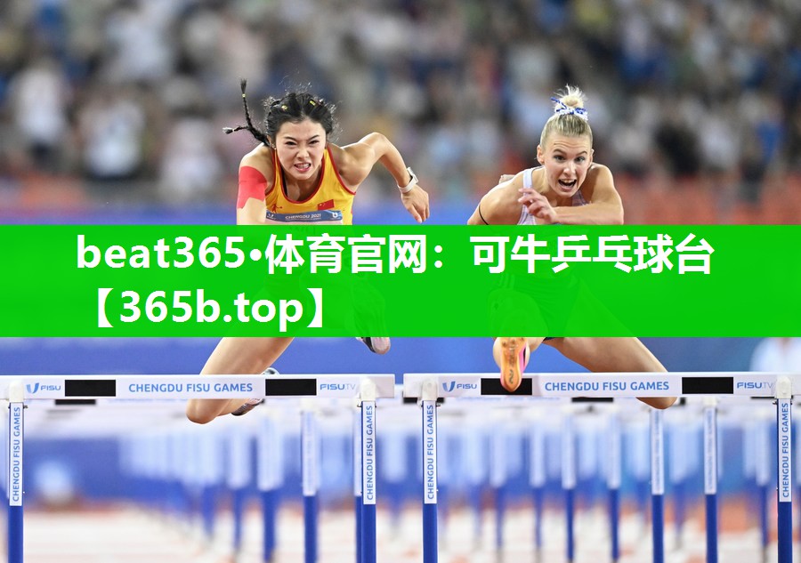 可牛乒乓球台 可牛乒乓球台