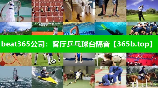 客厅乒乓球台隔音 客厅乒乓球台隔音